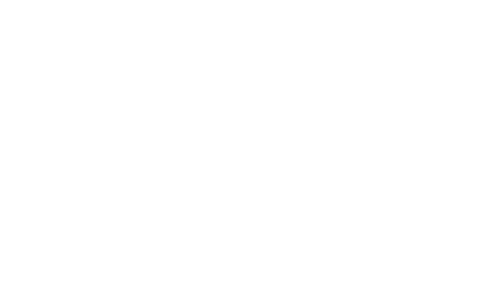 Trans Rally